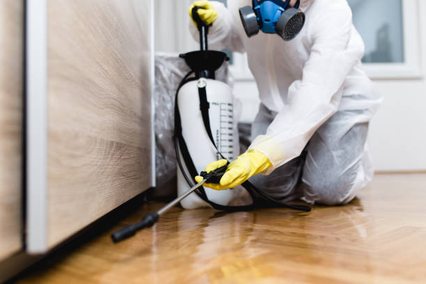 Best Rat Extermination Near Me  in Providence, RI
