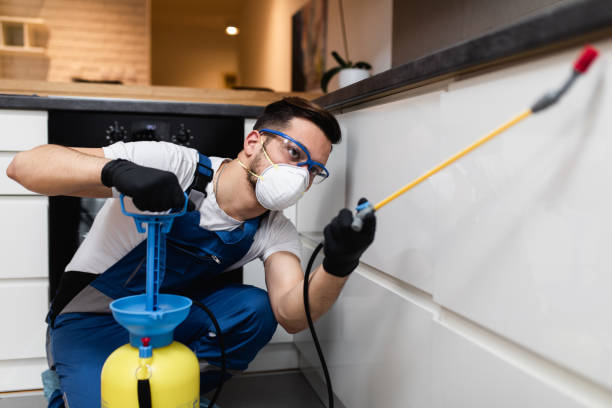 Best Affordable Pest Control Services  in Providence, RI