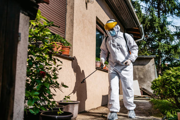 Insect Control in Providence, RI