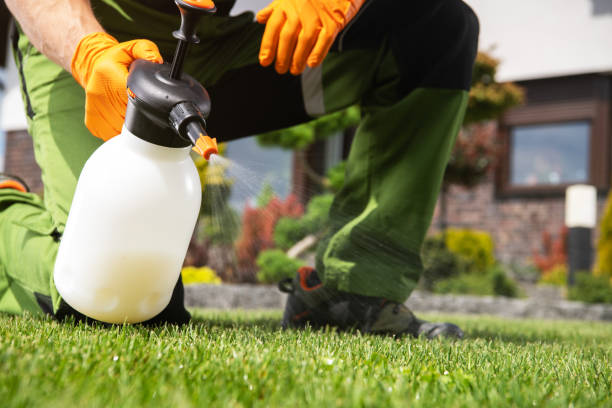 Best Exterminator Services  in Providence, RI
