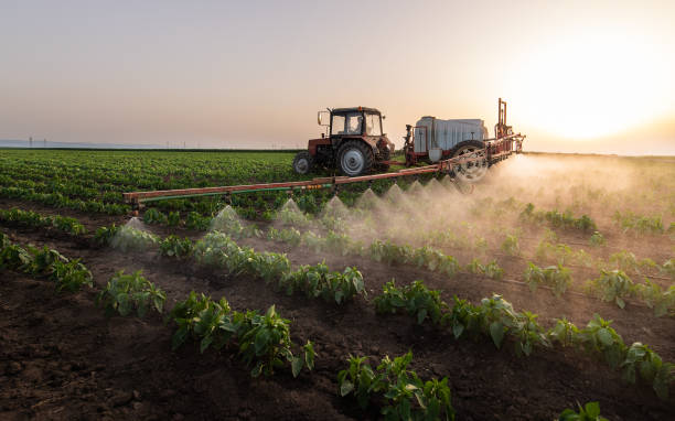 Best Mosquito Control Services  in Providence, RI