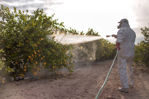 Best Best Pest Control Companies  in Providence, RI