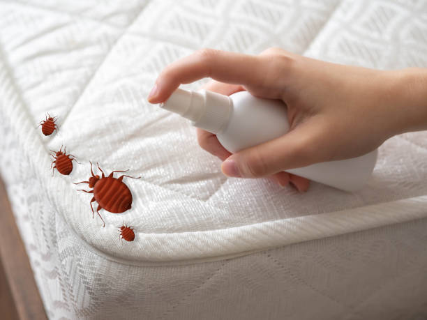 Best Pest Prevention Services  in Providence, RI
