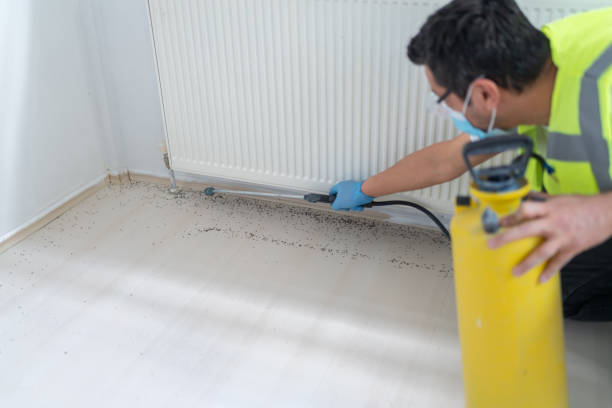 Trusted Providence, RI Pest Control Experts